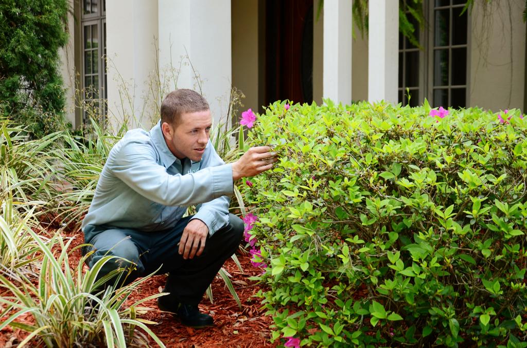 Heron Home & Outdoor Leesburg FL 34748 3524359111 Pest Control